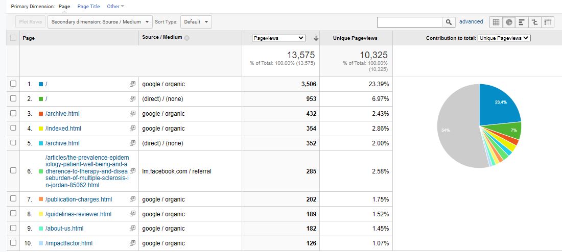 Visitor Analysis Report