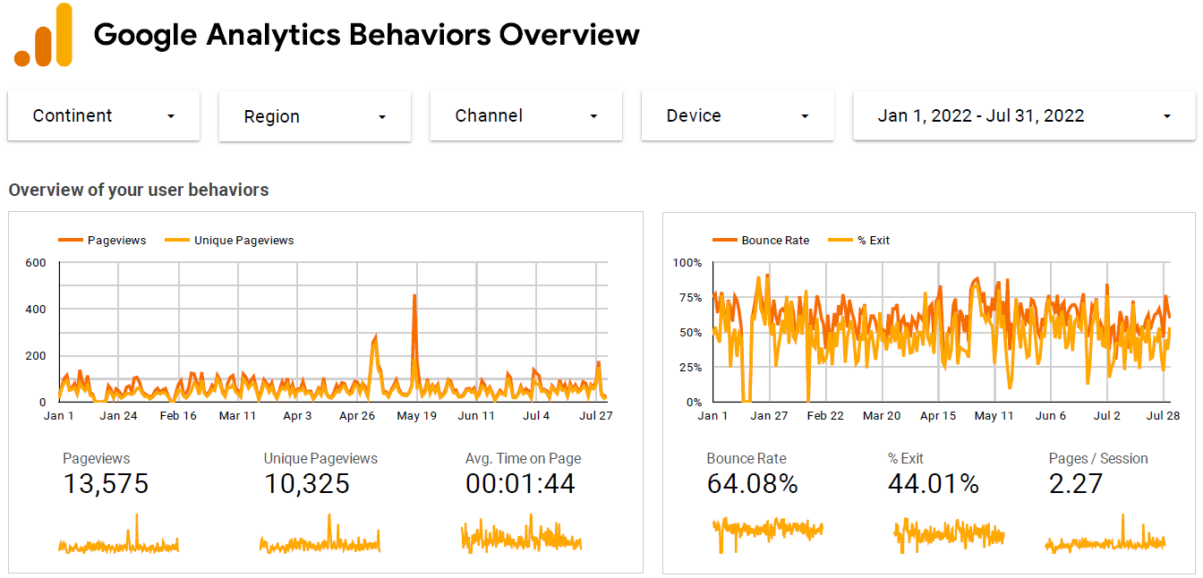 Visitor Analysis Report